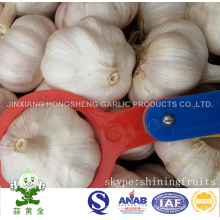 6.0cm Normal White Garlic 10kgs Carton From China